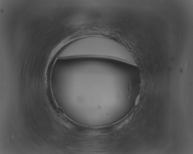 X0000081580246200701151008