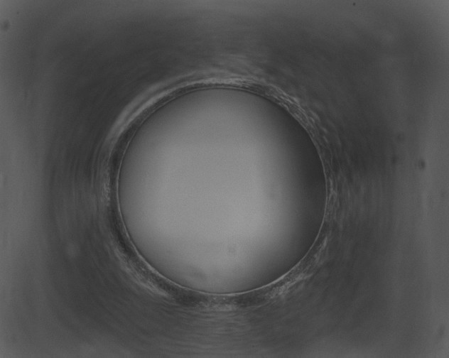 X0000081580247200701151008