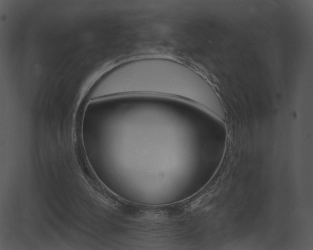X0000081580248200701151008