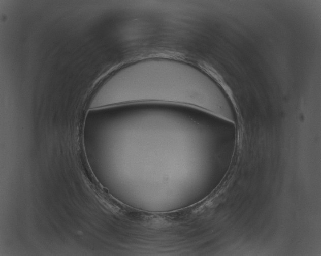 X0000081580249200701151008