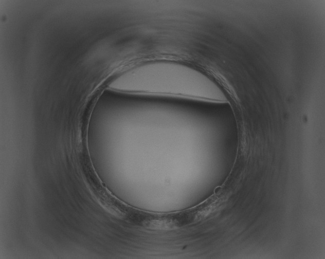 X0000081580251200701151008