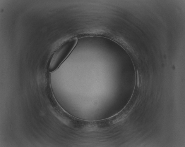 X0000081580252200701151008