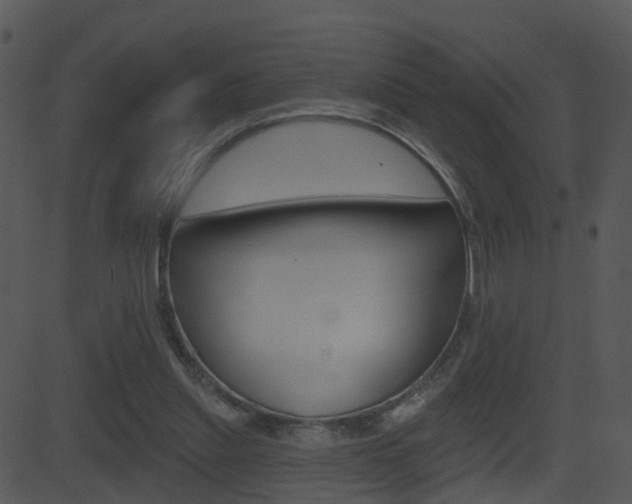 X0000081580253200701151008