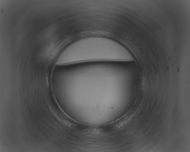 X0000081580254200701151008