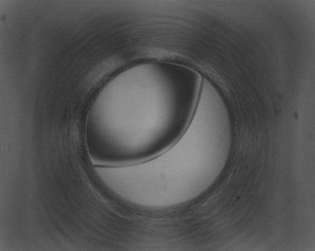 X0000081580256200701151008