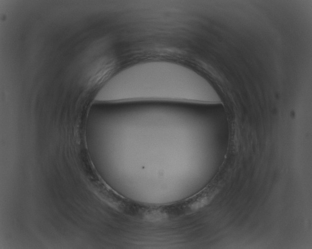 X0000081580258200701151008