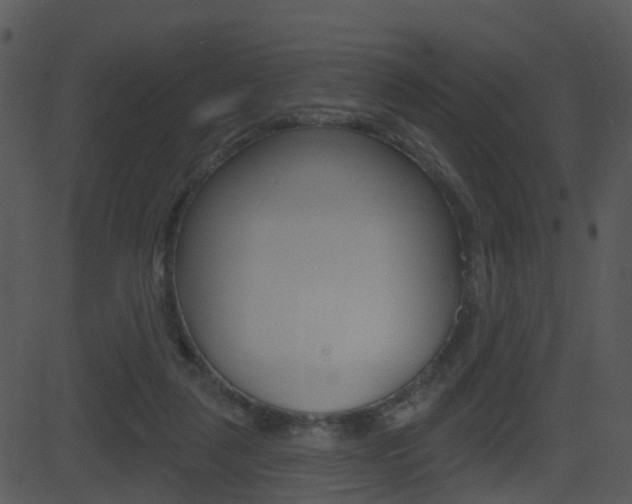 X0000081580259200701151008