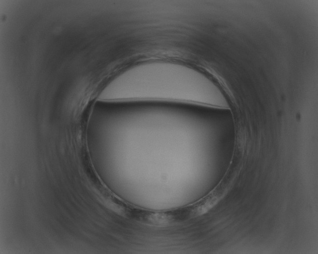 X0000081580261200701151008