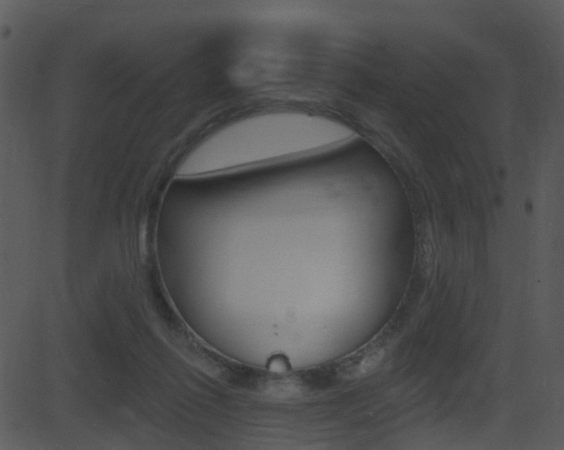 X0000081580262200701151008