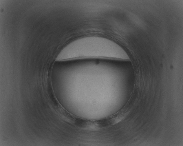X0000081580263200701151008