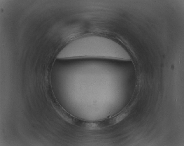 X0000081580265200701151008