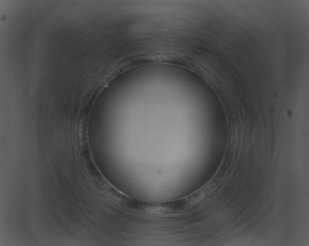 X0000081580268200701151008