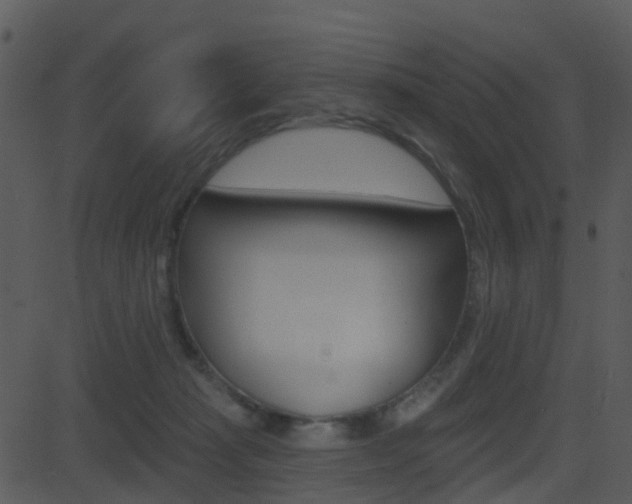 X0000081580269200701151008