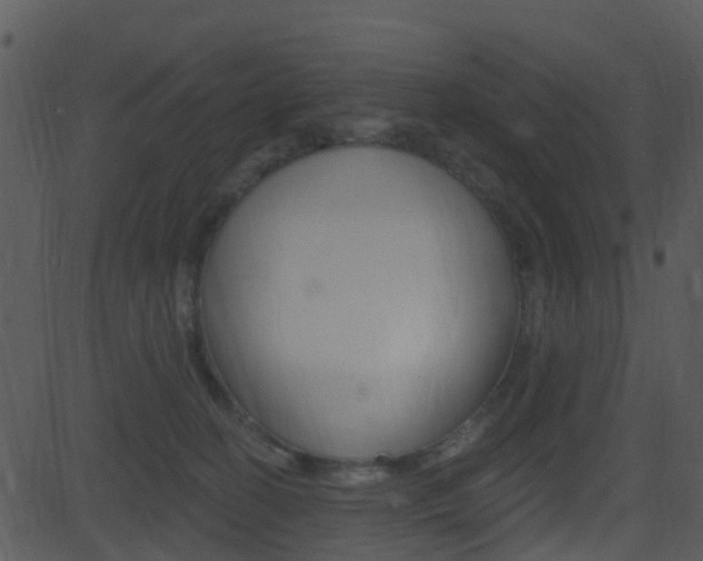 X0000081580274200701151008