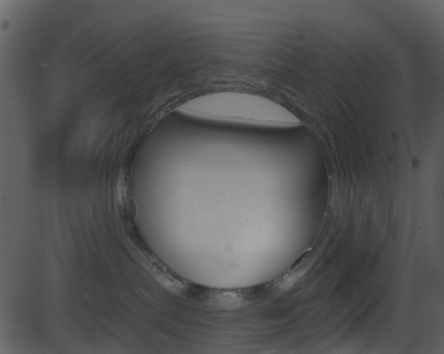 X0000081580287200701151008