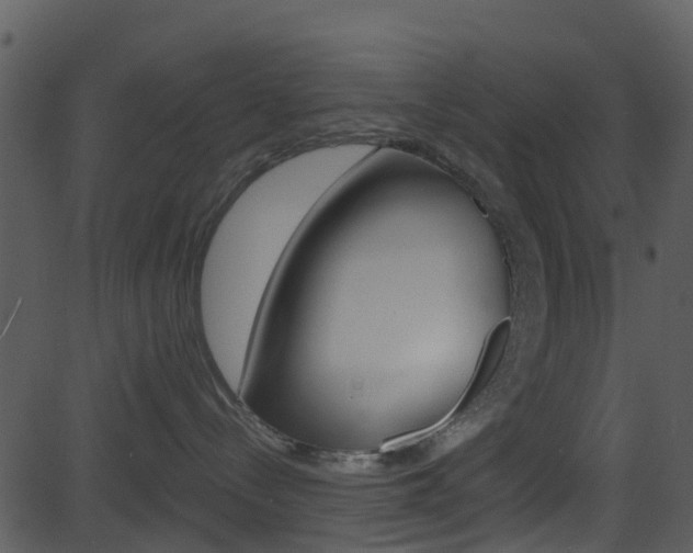X0000081580288200701151008