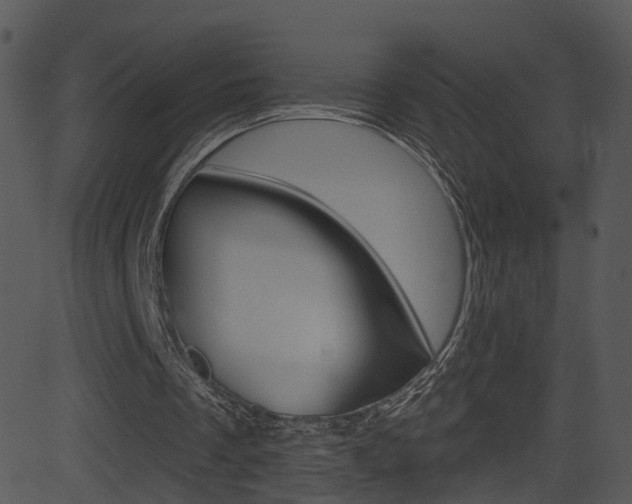 X0000081580289200701151008