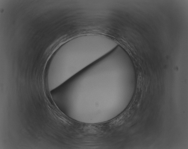 X0000081580290200701151008