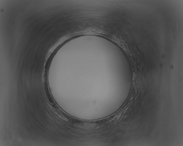 X0000081580292200701151007
