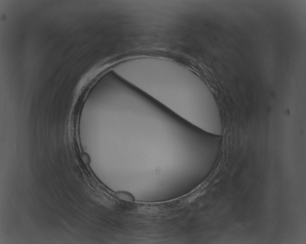 X0000081580294200701151007