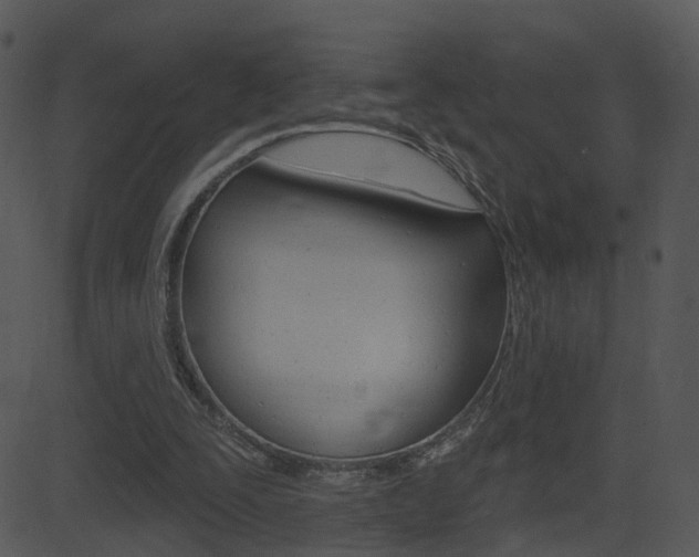 X0000081580295200701151007