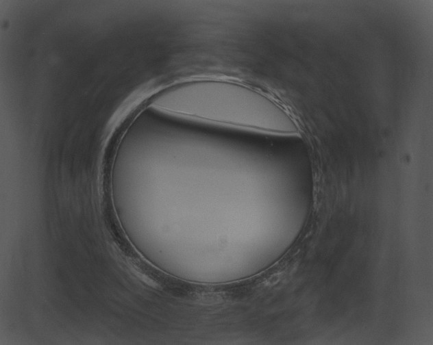 X0000081580296200701151007