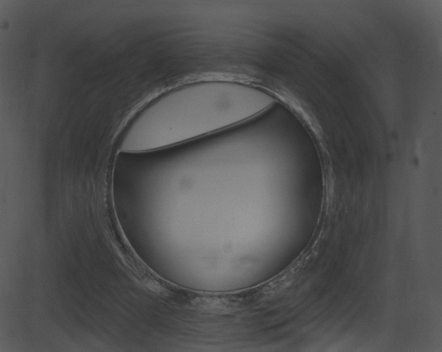 X0000081580297200701151007