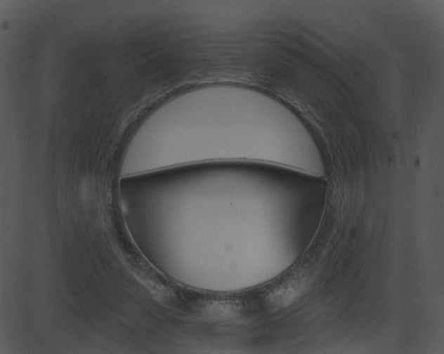 X0000081580303200701151007