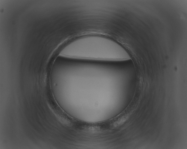 X0000081580304200701151007