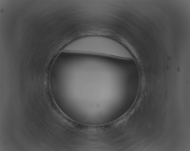 X0000081580305200701151007
