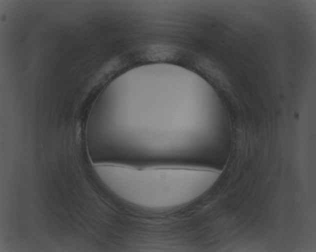 X0000081580308200701151007