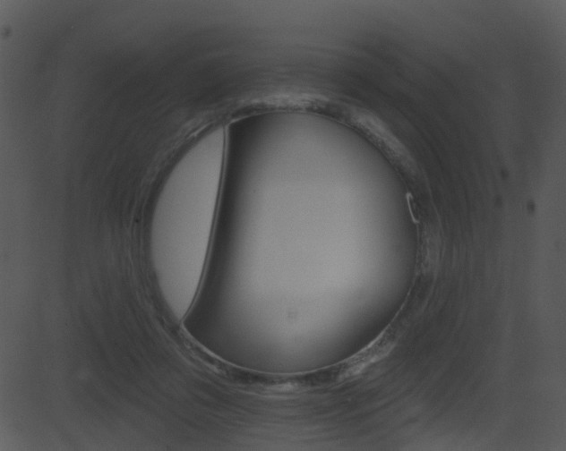 X0000081580309200701151007