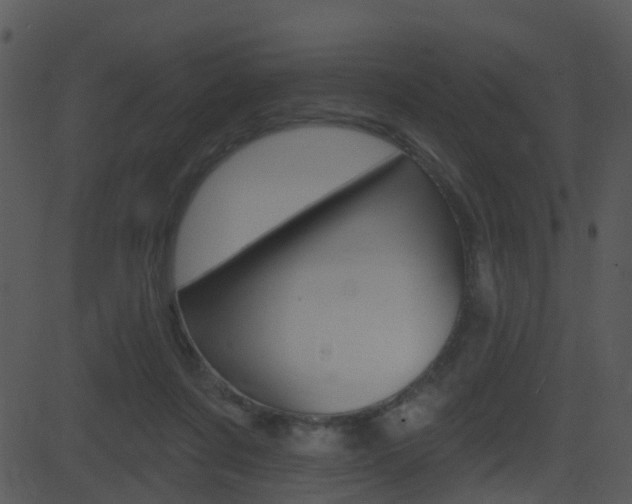 X0000081580311200701151007