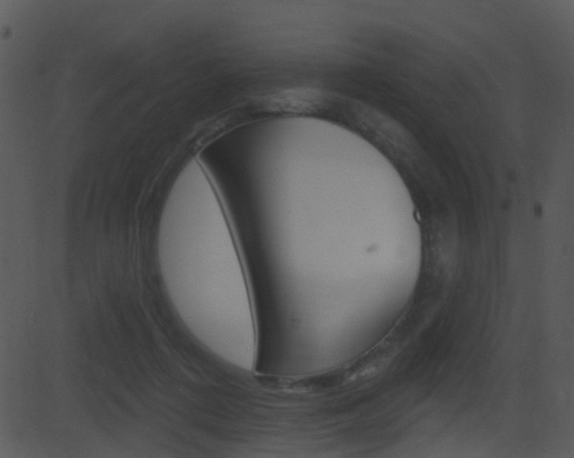 X0000081580312200701151007