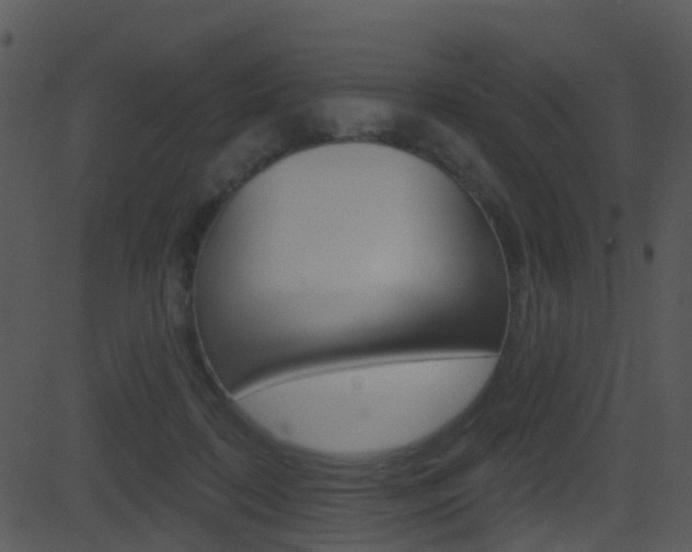 X0000081580316200701151007