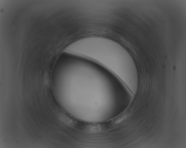 X0000081580317200701151007