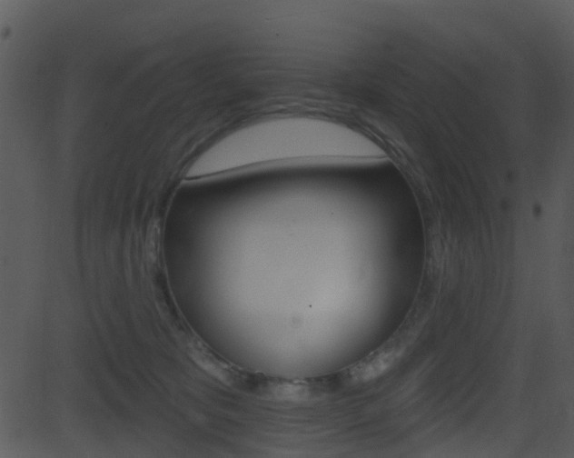 X0000081580325200701151007