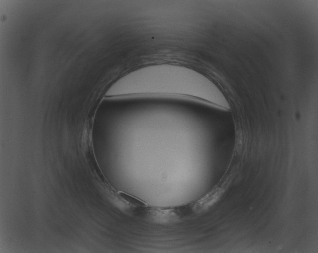 X0000081580333200701151007
