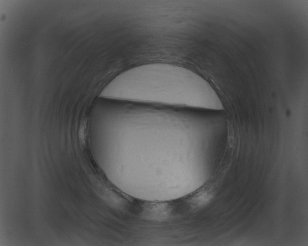 X0000081580334200701151007