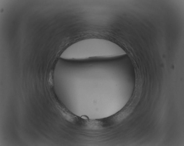 X0000081580336200701151007