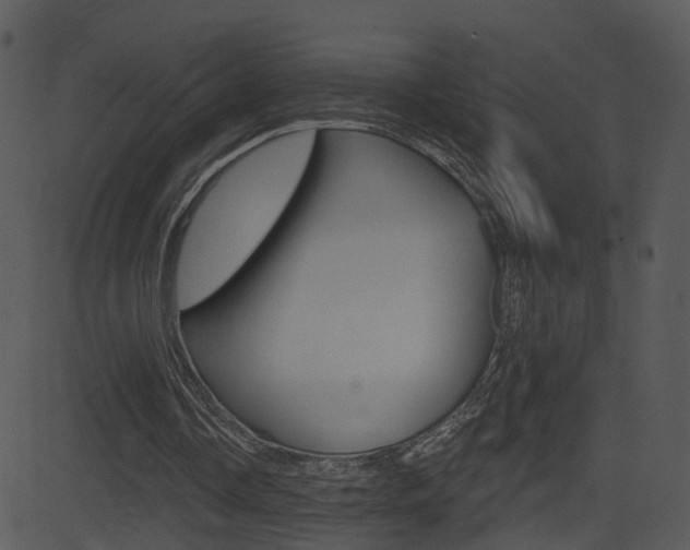 X0000081580338200701151006