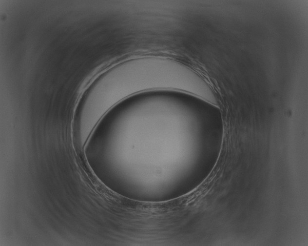 X0000081580340200701151006