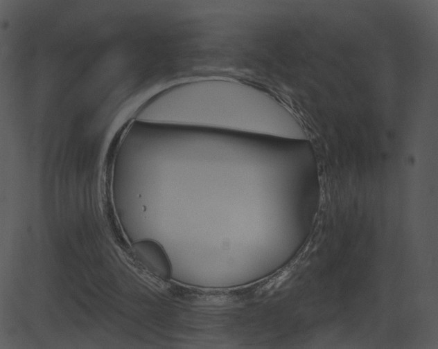 X0000081580342200701151006