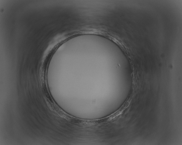 X0000081580343200701151006