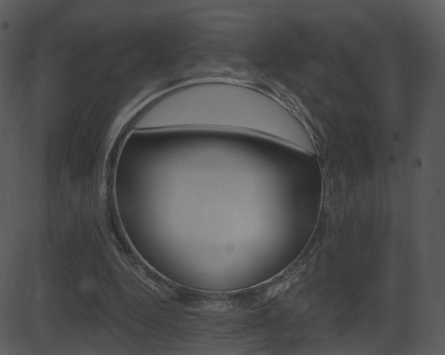 X0000081580344200701151006