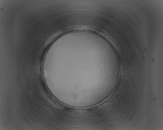 X0000081580347200701151006