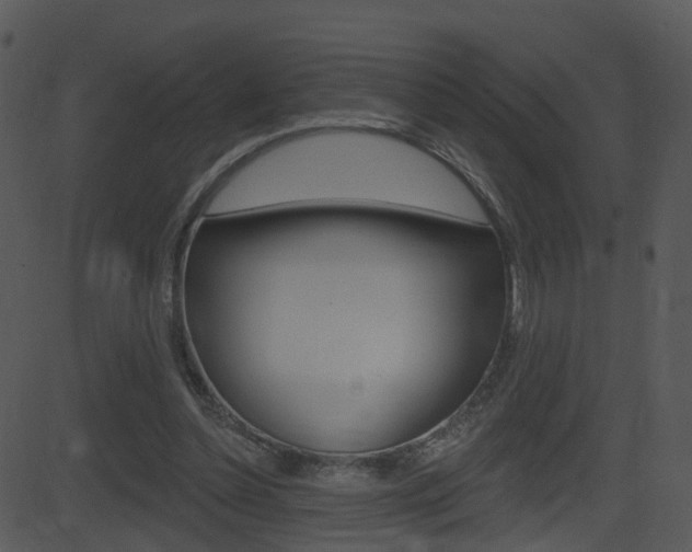 X0000081580348200701151006