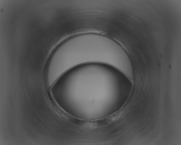 X0000081580350200701151006