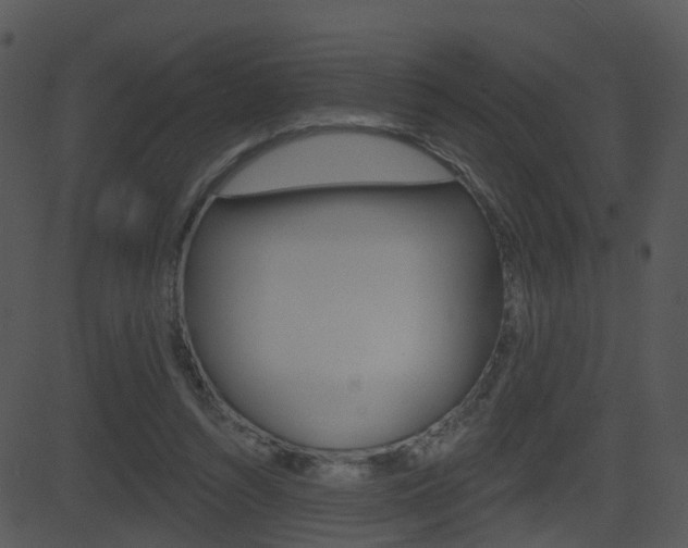 X0000081580352200701151006