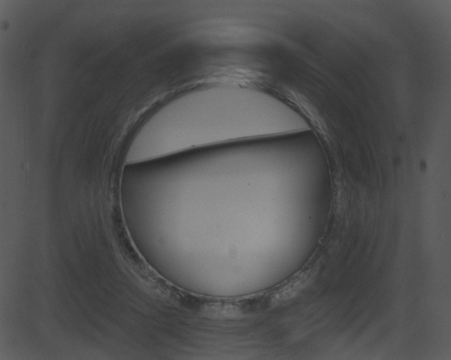 X0000081580354200701151006